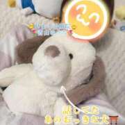 ヒメ日記 2026/02/04 23:13 投稿 青山ゆうな ハレ系 ひよこ治療院(中州)