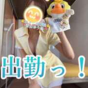 ヒメ日記 2026/02/11 12:25 投稿 青山ゆうな ハレ系 ひよこ治療院(中州)