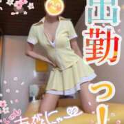 ヒメ日記 2026/02/22 12:11 投稿 青山ゆうな ハレ系 ひよこ治療院(中州)