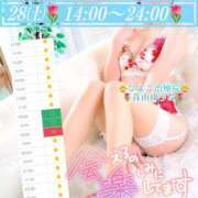 青山ゆうな 14:00〜24:00っ🌷青山 ハレ系 ひよこ治療院(中州)