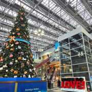 ヒメ日記 2025/12/25 21:19 投稿 なな 恋愛生欲情の扉