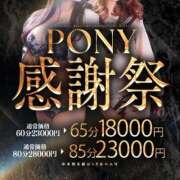 にこ イベント開催中‼️ ポニーテール和歌山店