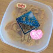 ヒメ日記 2025/07/13 19:27 投稿 当麻　実心 プルプル札幌性感エステ はんなり