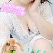 ヒメ日記 2025/07/04 21:19 投稿 いずみ One More 奥様　松戸店