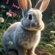 ヒメ日記 2025/07/09 02:59 投稿 いずみ One More 奥様　松戸店