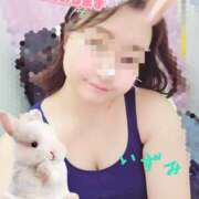 ヒメ日記 2025/07/09 11:09 投稿 いずみ One More 奥様　松戸店