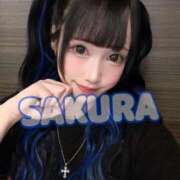 ヒメ日記 2025/08/02 07:13 投稿 さくら ニューグランド