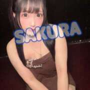 ヒメ日記 2025/08/05 10:39 投稿 さくら ニューグランド