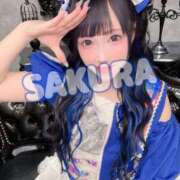 ヒメ日記 2025/08/06 08:33 投稿 さくら ニューグランド