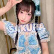 ヒメ日記 2025/08/14 06:33 投稿 さくら ニューグランド