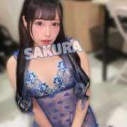 ヒメ日記 2025/09/06 06:43 投稿 さくら ニューグランド