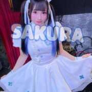 ヒメ日記 2025/09/11 11:13 投稿 さくら ニューグランド