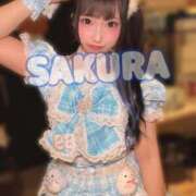 ヒメ日記 2025/09/16 07:23 投稿 さくら ニューグランド