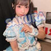 ヒメ日記 2025/09/18 06:23 投稿 さくら ニューグランド