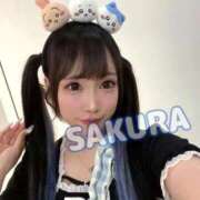 ヒメ日記 2025/09/19 06:33 投稿 さくら ニューグランド