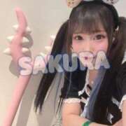 ヒメ日記 2025/09/20 00:13 投稿 さくら ニューグランド