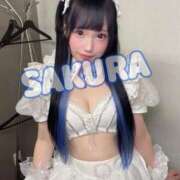 ヒメ日記 2025/09/21 15:23 投稿 さくら ニューグランド