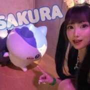 ヒメ日記 2025/09/24 22:58 投稿 さくら ニューグランド