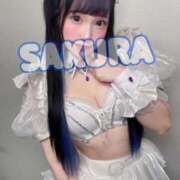 ヒメ日記 2025/09/25 14:33 投稿 さくら ニューグランド