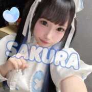 ヒメ日記 2025/09/26 05:53 投稿 さくら ニューグランド