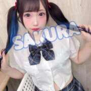 ヒメ日記 2025/09/30 21:13 投稿 さくら ニューグランド