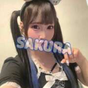 ヒメ日記 2025/10/04 21:03 投稿 さくら ニューグランド