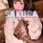 ヒメ日記 2025/10/07 11:13 投稿 さくら ニューグランド