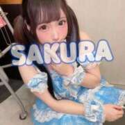 ヒメ日記 2025/10/07 23:53 投稿 さくら ニューグランド