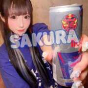 ヒメ日記 2025/10/15 09:03 投稿 さくら ニューグランド