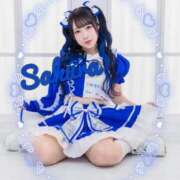 ヒメ日記 2025/10/15 09:23 投稿 さくら ニューグランド