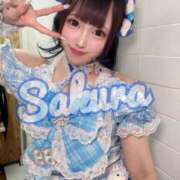 ヒメ日記 2025/10/15 17:23 投稿 さくら ニューグランド