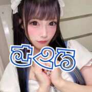 ヒメ日記 2025/10/20 06:23 投稿 さくら ニューグランド