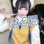 ヒメ日記 2025/11/04 10:33 投稿 さくら ニューグランド