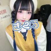 ヒメ日記 2025/11/06 06:23 投稿 さくら ニューグランド