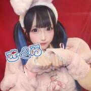 ヒメ日記 2025/11/10 08:33 投稿 さくら ニューグランド