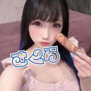 ヒメ日記 2025/11/11 06:33 投稿 さくら ニューグランド