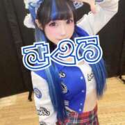 さくら 🌸いるよん！ ニューグランド