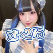 ヒメ日記 2025/12/19 12:37 投稿 さくら ニューグランド