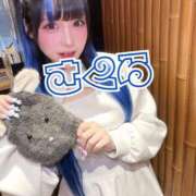 ヒメ日記 2025/12/23 09:03 投稿 さくら ニューグランド