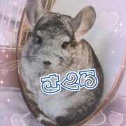 ヒメ日記 2026/01/09 23:03 投稿 さくら ニューグランド