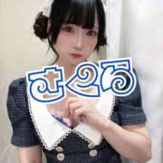 さくら 🌸お久しぶりです ニューグランド