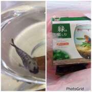 ヒメ日記 2025/02/20 00:53 投稿 ゆう 大人の遊園痴「スピーディー」