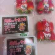 ヒメ日記 2026/02/28 00:38 投稿 ゆう 大人の遊園痴「スピーディー」