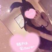 ヒメ日記 2024/12/09 08:03 投稿 ミオン ルパン