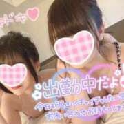 ヒメ日記 2024/12/16 08:29 投稿 ミオン ルパン