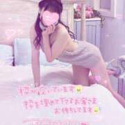 ヒメ日記 2025/02/25 04:30 投稿 ミオン ルパン