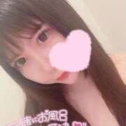 ヒメ日記 2025/07/29 06:47 投稿 ミオン ルパン