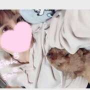 ヒメ日記 2025/08/07 04:06 投稿 ミオン ルパン