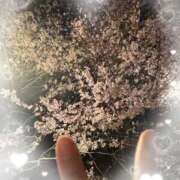 ヒメ日記 2025/04/08 03:39 投稿 かなで 乳の湯