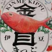 ヒメ日記 2024/12/17 15:25 投稿 カノン カワサキ EROTIC